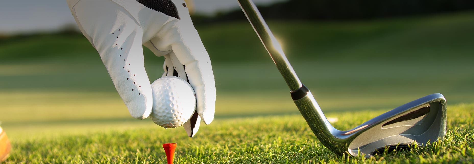 golf-banner-gourmet-golf-cup
